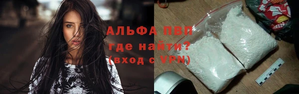 стаф Нефтегорск
