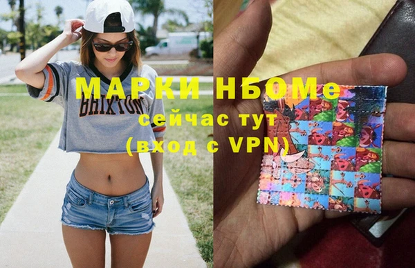 стаф Нефтегорск
