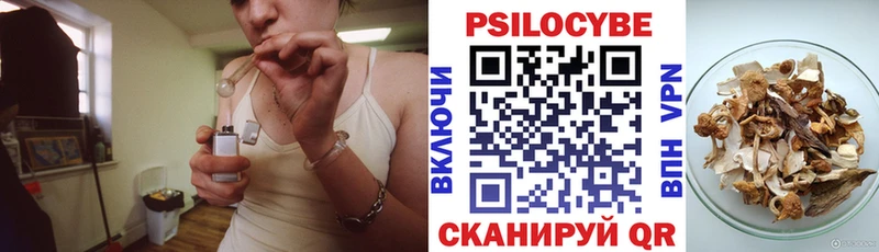 Псилоцибиновые грибы MAGIC MUSHROOMS цены наркотик Игра